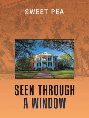 cover image of Seen Through a Window